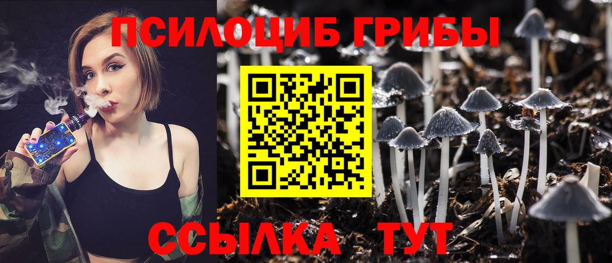 Псилоцибиновые грибы прущие грибы Благовещенск
