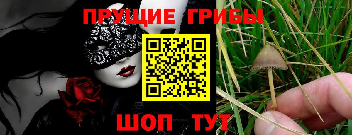 Благовещенск  купить  цена  Вход с VPN  Галлюциногенные грибы Psilocybe  Галлюциногенные грибы мицелий 